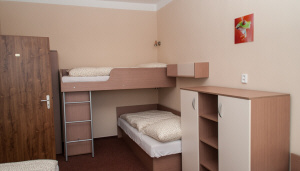 КОТТЕДЖ LUBETHA проживание номера ночлег недалеко Банскей-Быстрицы в Словакии